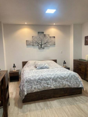 Cozy Suite Cuenca